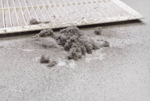 Best Home Air Vent Cleaning  in Three Rivers, OR