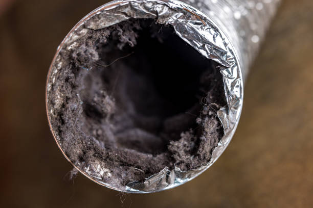 Air Duct Mold Removal in Three Rivers, OR